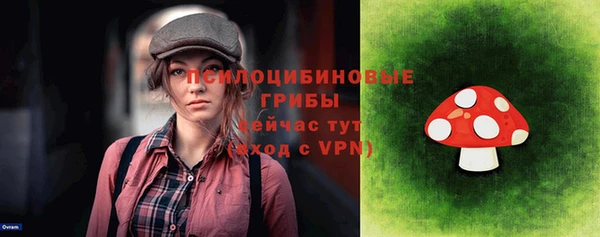 прущие грибы Лабытнанги