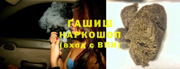 прущие грибы Лабытнанги
