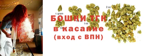 прущие грибы Лабытнанги
