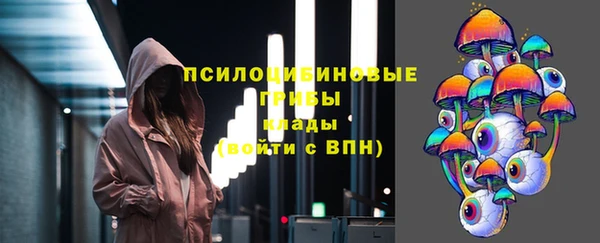 прущие грибы Лабытнанги