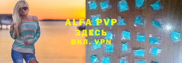прущие грибы Лабытнанги