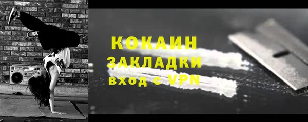 прущие грибы Лабытнанги