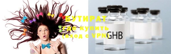 прущие грибы Лабытнанги