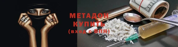 прущие грибы Лабытнанги
