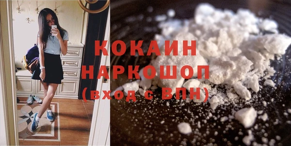 шишки Ладушкин