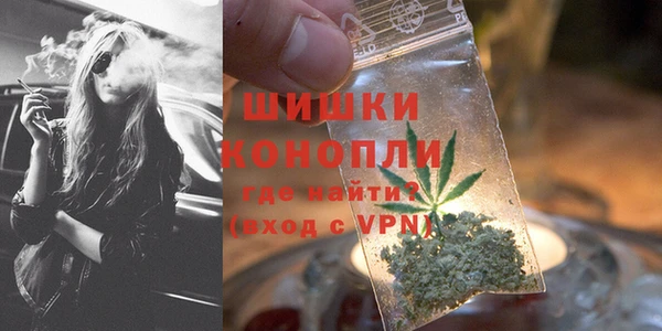 прущие грибы Лабытнанги