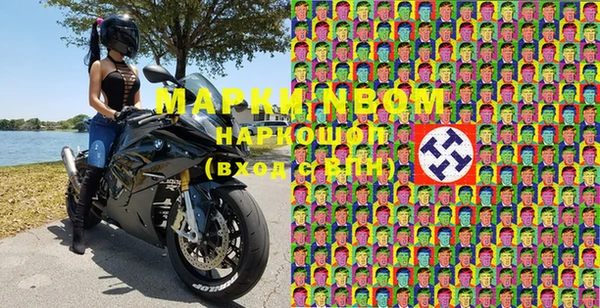 шишки Ладушкин