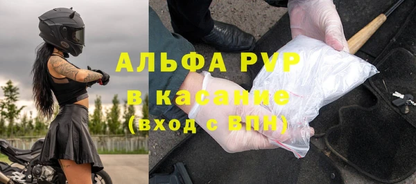 прущие грибы Лабытнанги